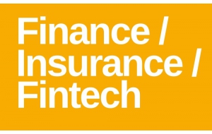 Website_ Finance Fintech2